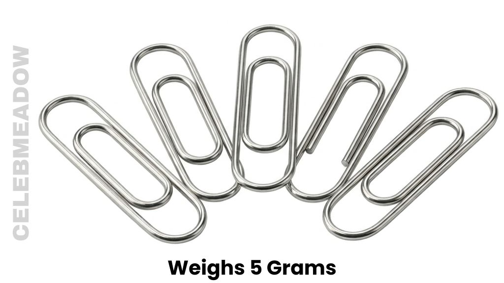 Five Standard Steel Paperclips Weighs 5 Grams