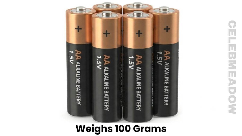 Four AA Batteries Weighs 100 Grams