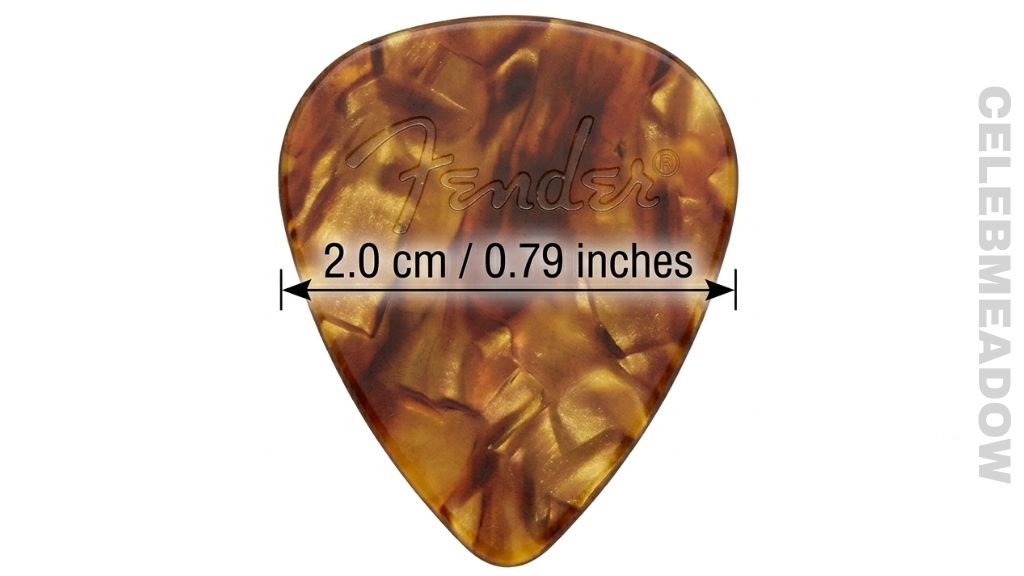 Guitar Pick That Is 2 cm Big