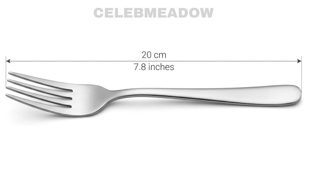 How Big is 20 cm Dinner Fork