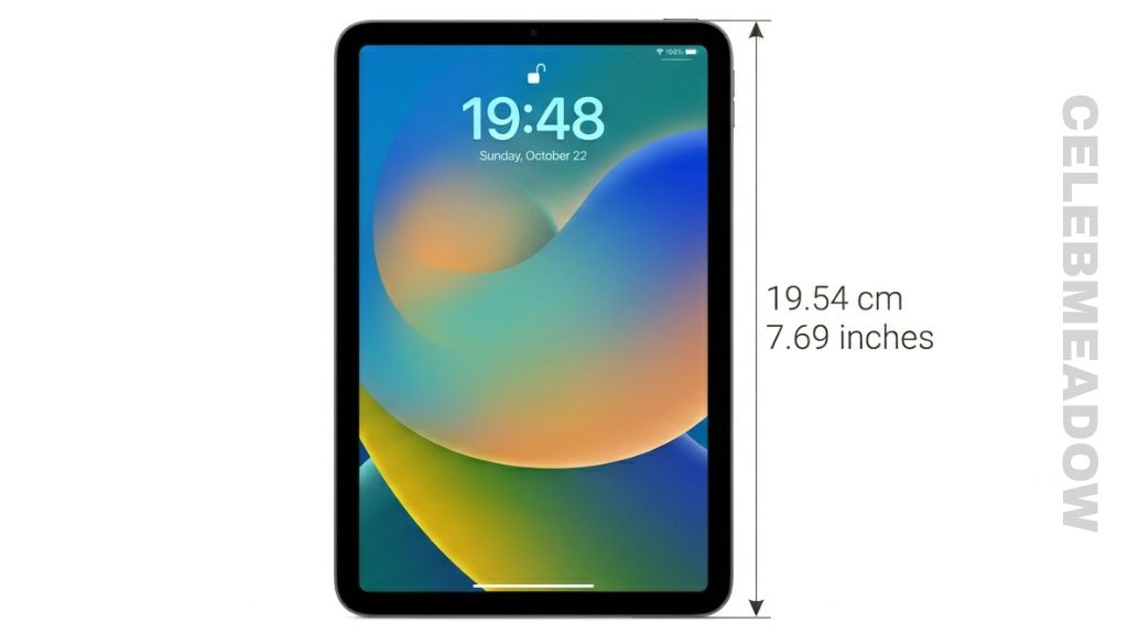 How Big is 20 cm iPad Mini