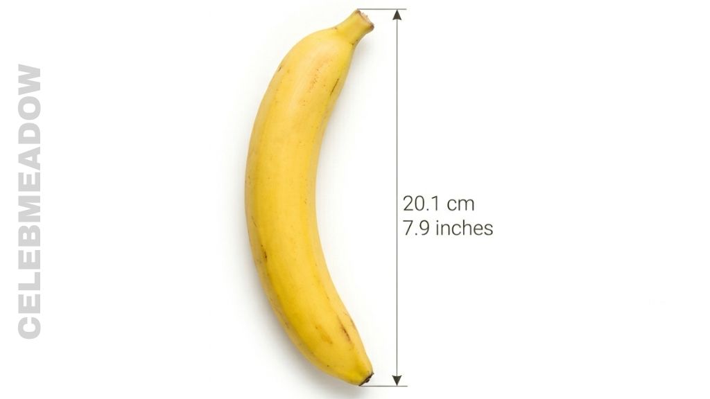 How Big is 20 cm Medium Banana