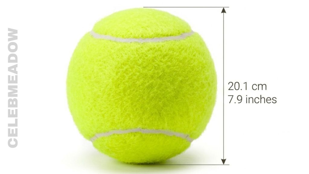 How Big is 20 cm Tennis Ball Circumference