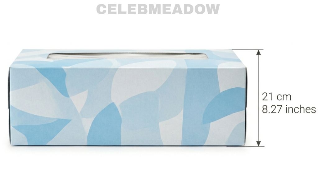 How Big is 20 cm Tissue Box
