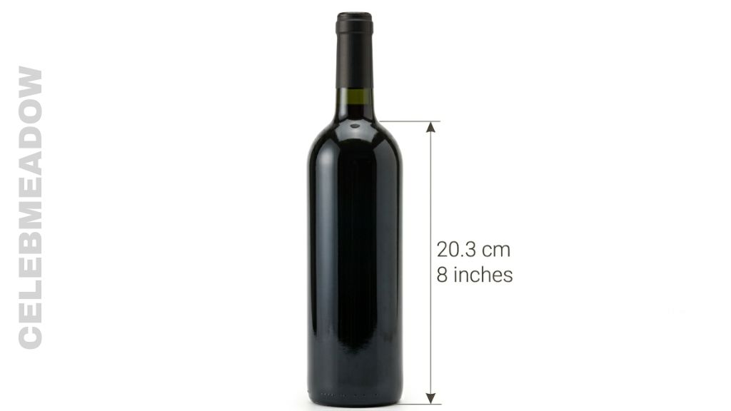 How Big is 20 cm Wine Bottle
