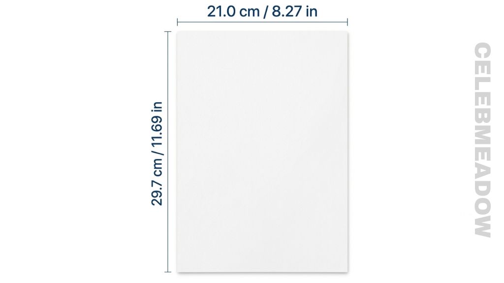 How Big is 30 cm A4 Sheet of Paper