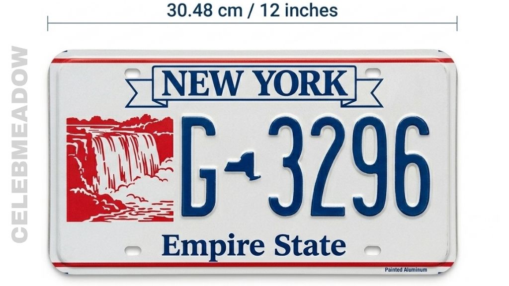 How Big is 30 cm Standard License Plate