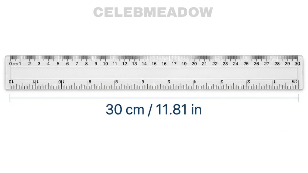 How Big is 30 cm Standard School Ruler