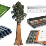 How Big is 2 Acres? 12 Things That Are About 2 Acres in Size