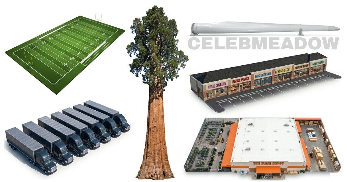 How Big is 2 Acres? 12 Things That Are About 2 Acres in Size