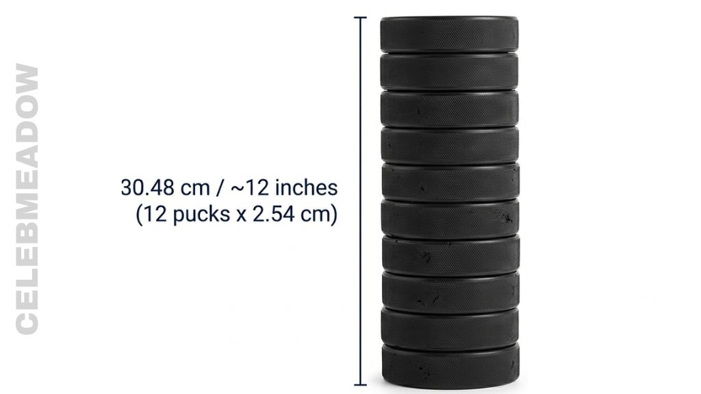 How Long is 30 cm Stack of 12 Hockey Pucks