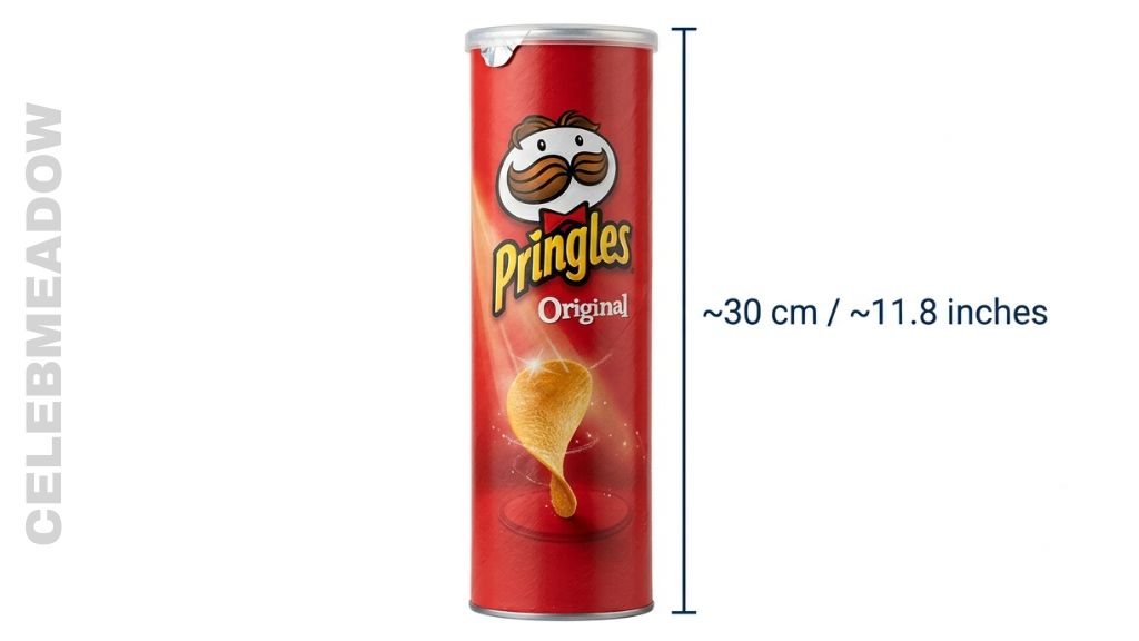How Tall is 30 cm Large Pringles Can