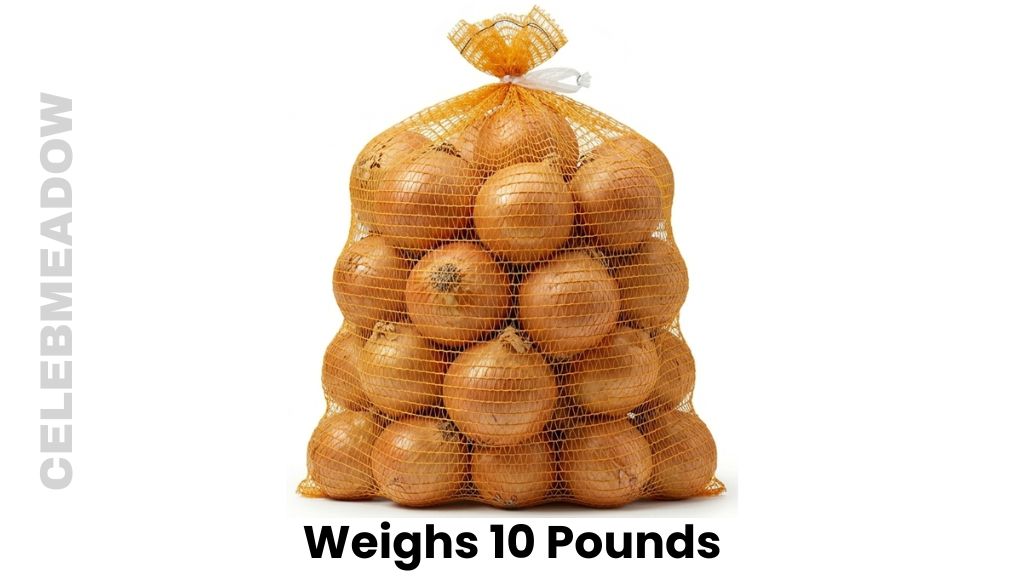 Large Bulk Bag of Unpeeled Yellow Onions Weighs 10 Pounds