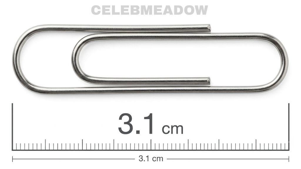 Large Paperclip That Is 3 cm Long