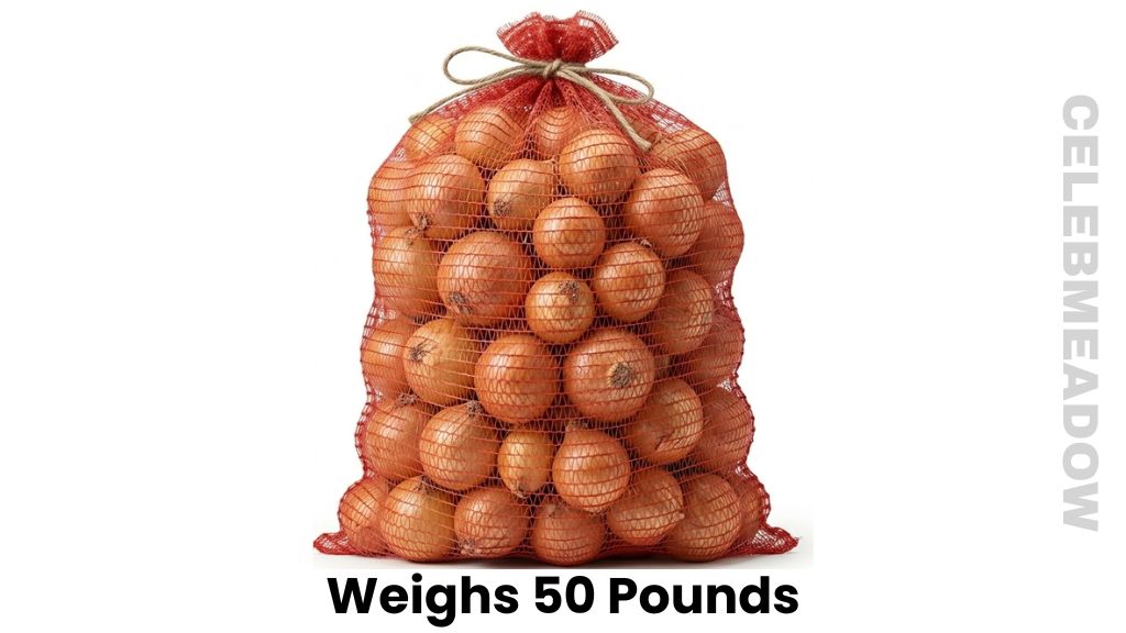 Large Wholesale Mesh Sack of Yellow Onions Weigh 50 Pounds