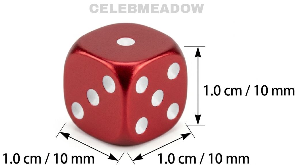 Mini Travel Dice That Is 1 cm Big