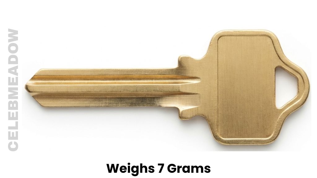 One House Key Blank Weigh 7 Grams