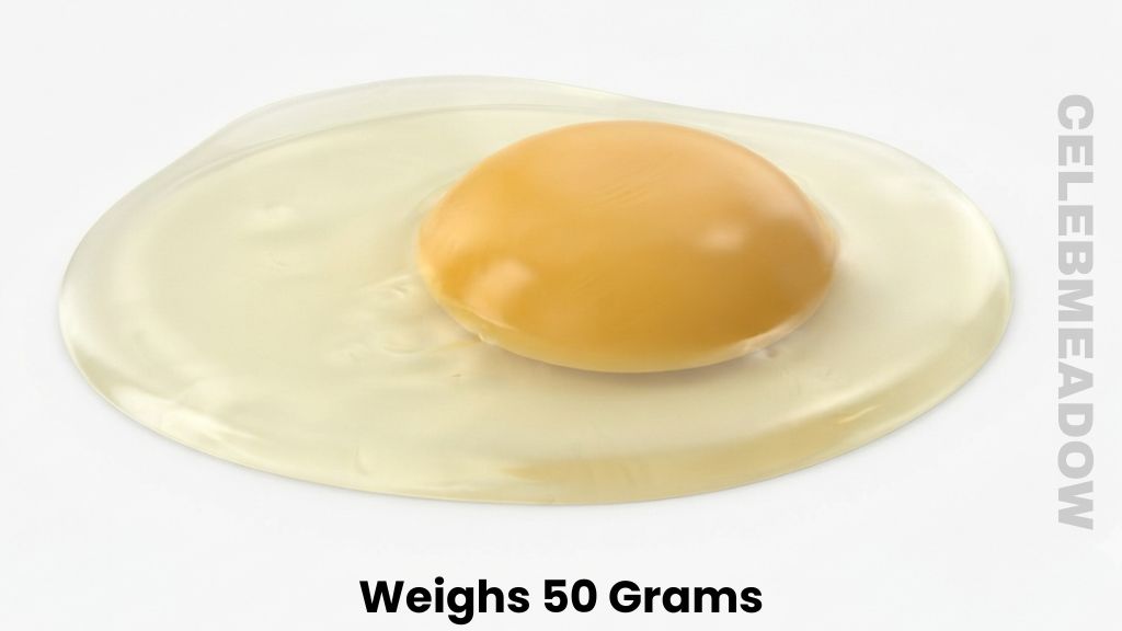 One Medium Chicken Egg Weigh 50 Grams