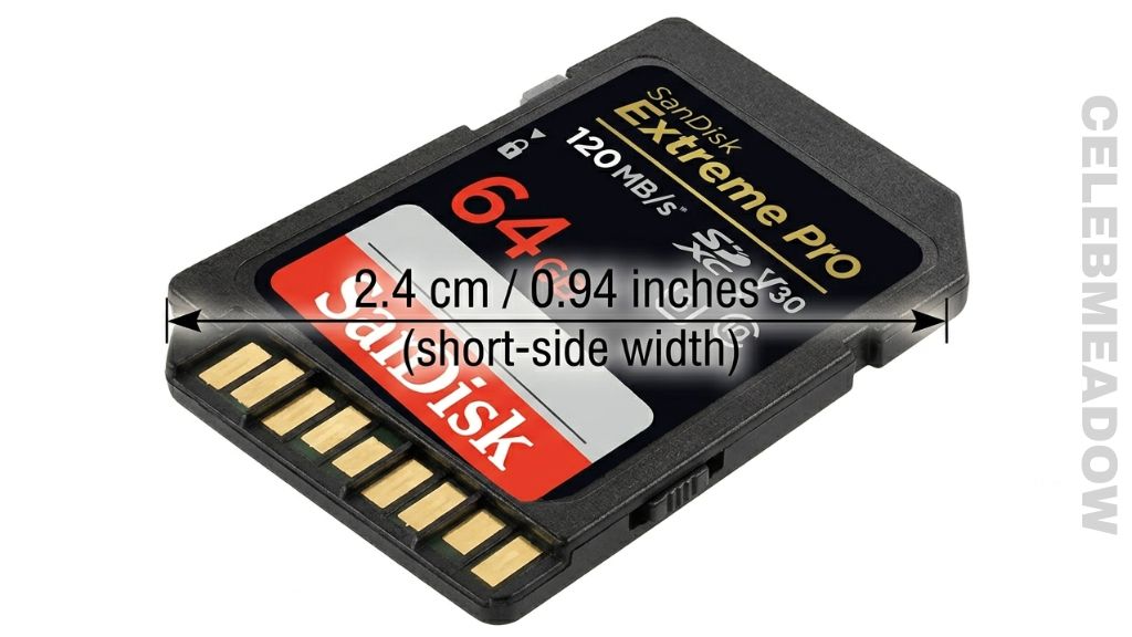 SD Memory Card That Is 2 cm Big