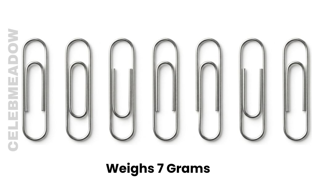 Seven No. 1 Steel Paperclips Weighs 7 Grams