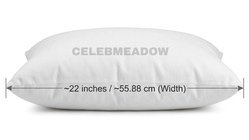 Standard Bed Pillow (Width) that is 22 Inches Long or Big