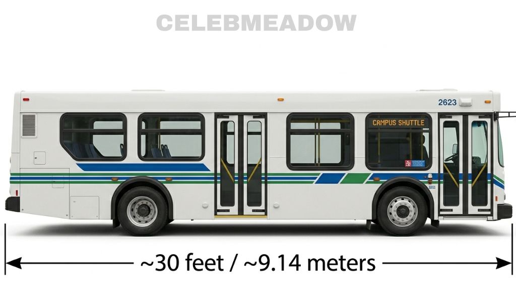 Standard City Transit Bus That Is 30 Feet Long