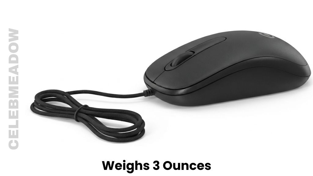 Standard Computer Mouse Weigh 3 Ounces