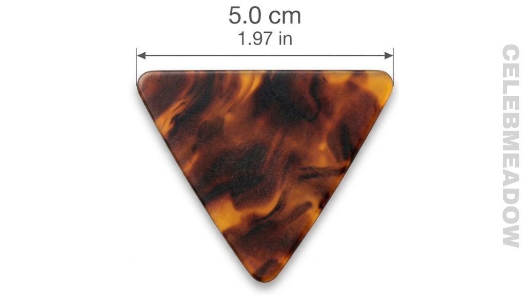 Standard Guitar Pick That Is 5 cm Big