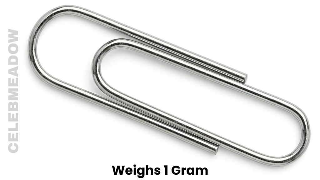 Standard No. 1 Metal Paperclip Weigh 1 Gram