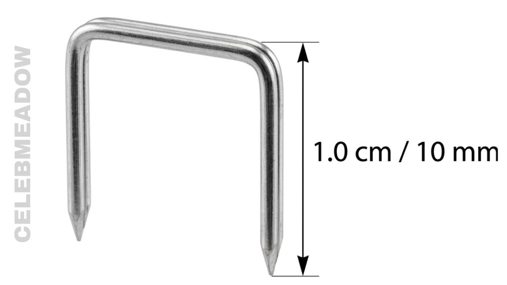 Standard Staple That Is 1 cm Long