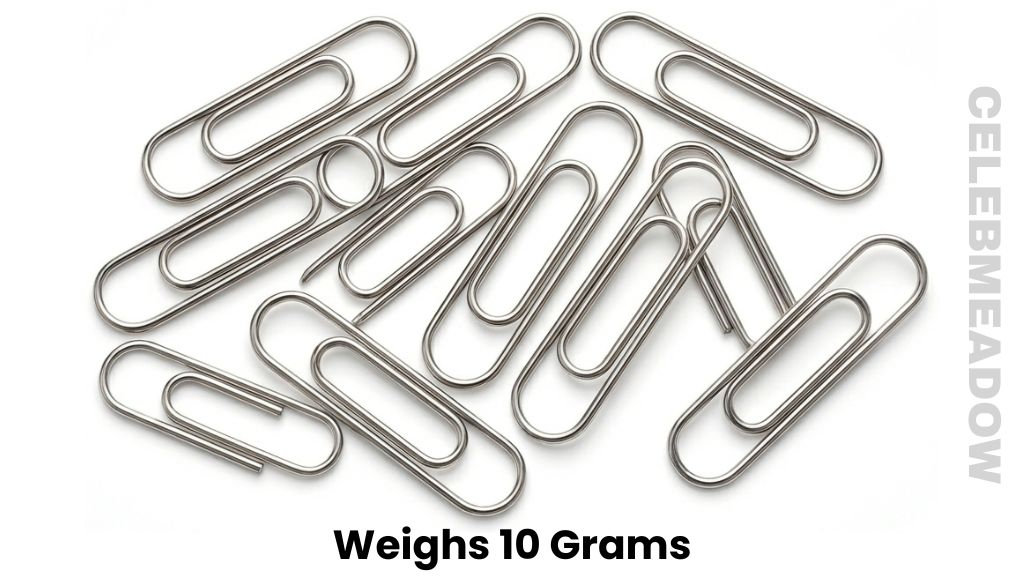 Ten Standard Paperclips Weigh 10 Grams
