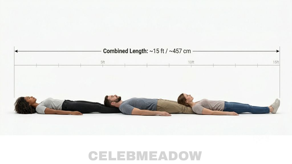 Three Adults Lying Head to Toe That Is 15 Feet Long