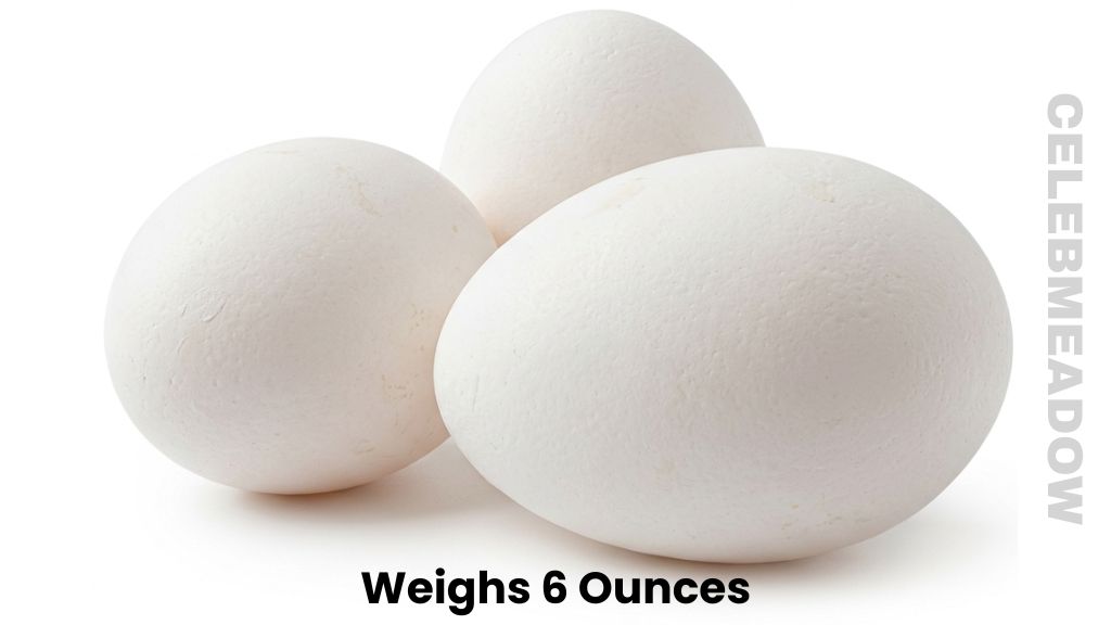 Three Boiled Large Eggs Weighs 6 Ounces