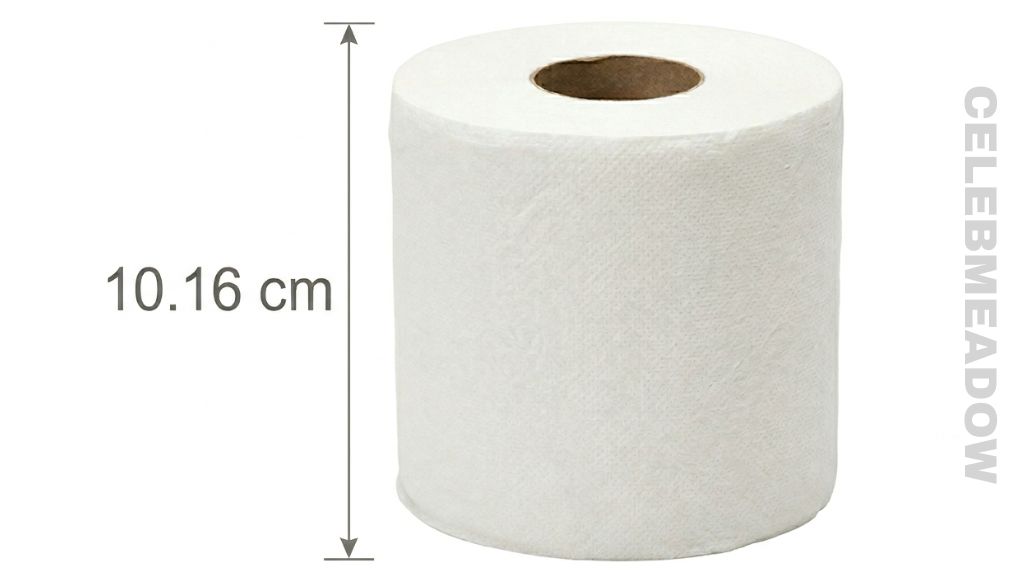 Toilet Paper Roll That Is 10 cm Long