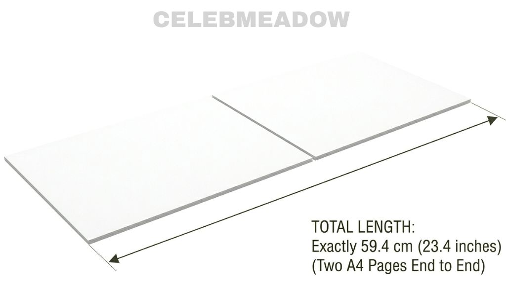 Two A4 Pages Laid End to End 60 cm Long
