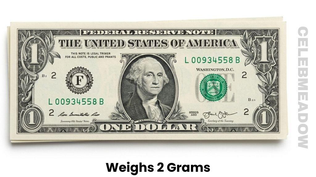 Two Crisp U.S. Dollar Bills Weighs 2 Grams