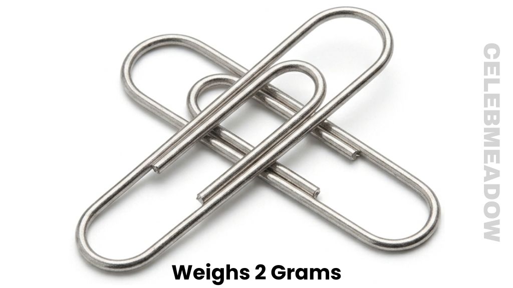 Two Standard Metal Paperclips Weighs 2 Grams