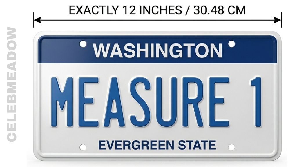 US & Canadian License Plate That Is 1 Foot Long
