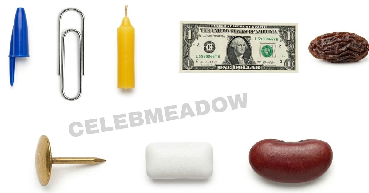 What Weighs 1 Gram? 12 Common Things That Weigh 1 Gram