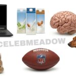 What Weighs 6 Pounds? 16 Common Things That Weigh 6 Pounds
