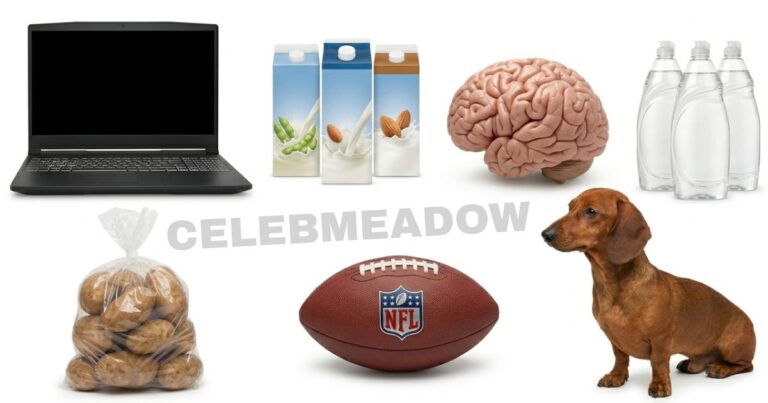 What Weighs 6 Pounds? 16 Common Things That Weigh 6 Pounds