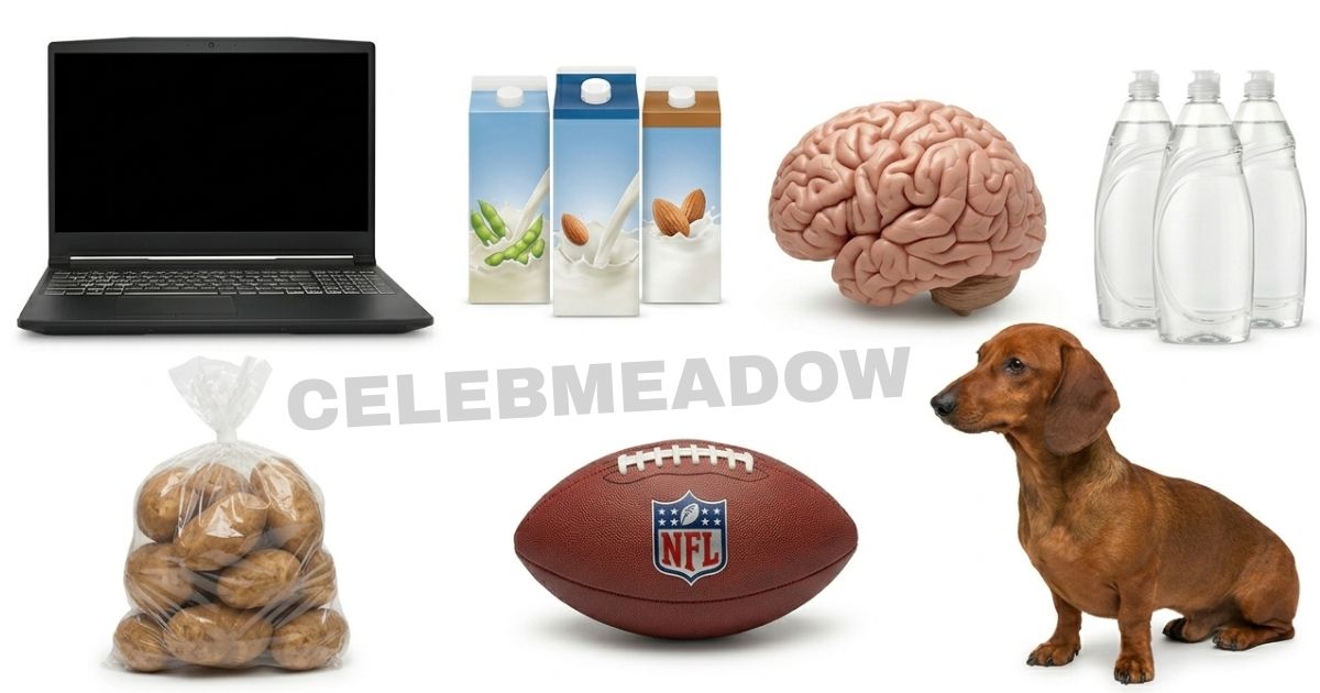 What Weighs 6 Pounds? 16 Common Things That Weigh 6 Pounds