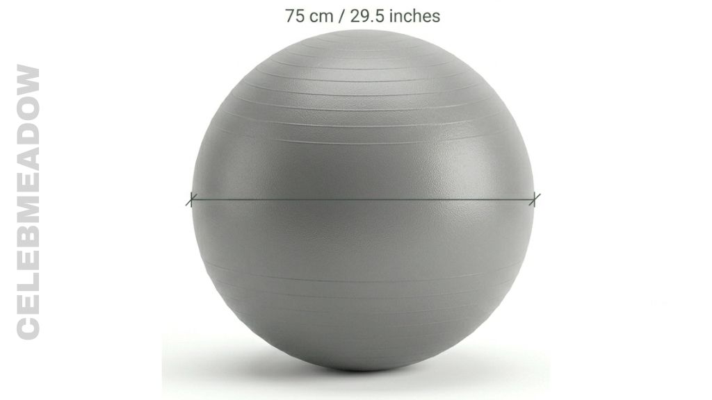 Yoga Exercise Ball 70 cm Big