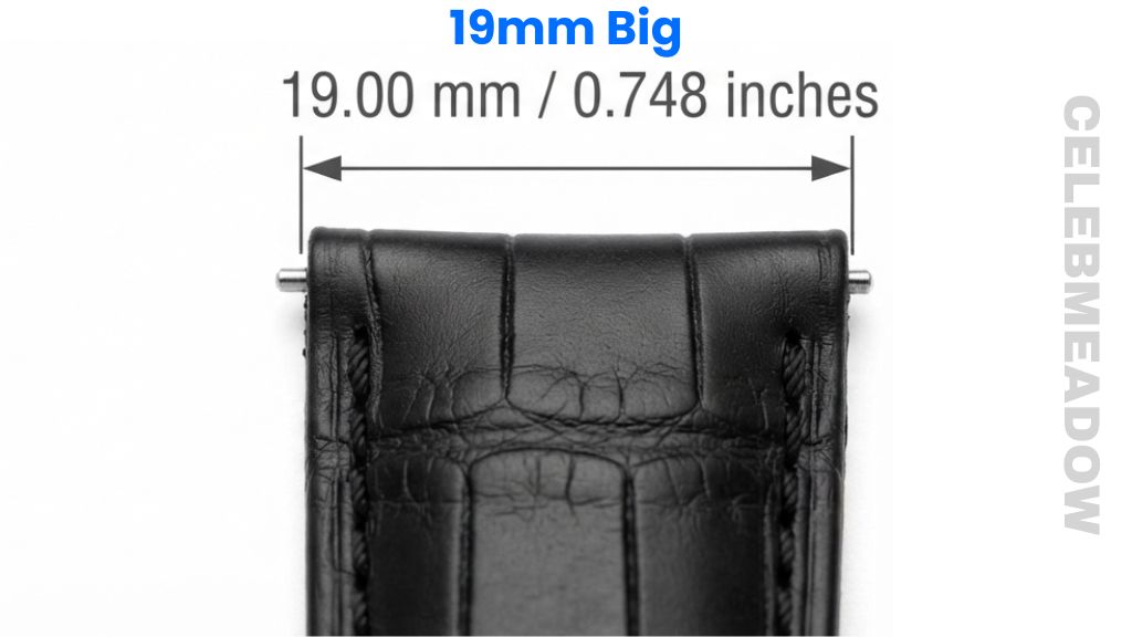 19 mm Watch Strap That Is 19 mm Big or Long