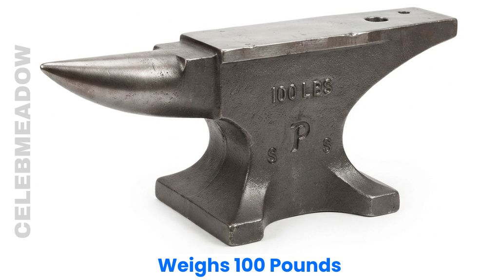 A 100-lb Professional Steel Anvil Weigh 100 Pounds