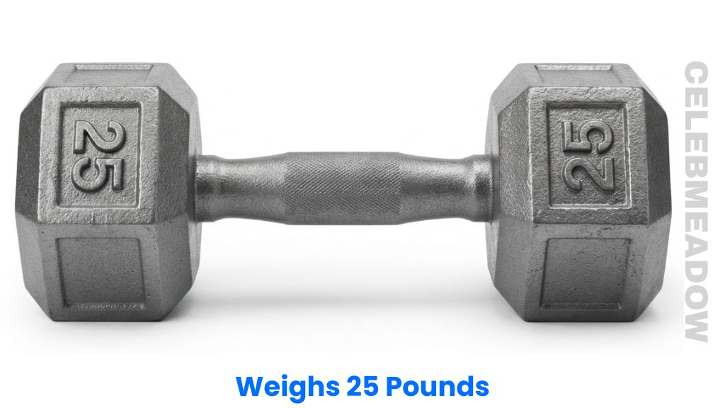 A 25 lb Cast Iron Dumbbell Weigh 25 Pounds