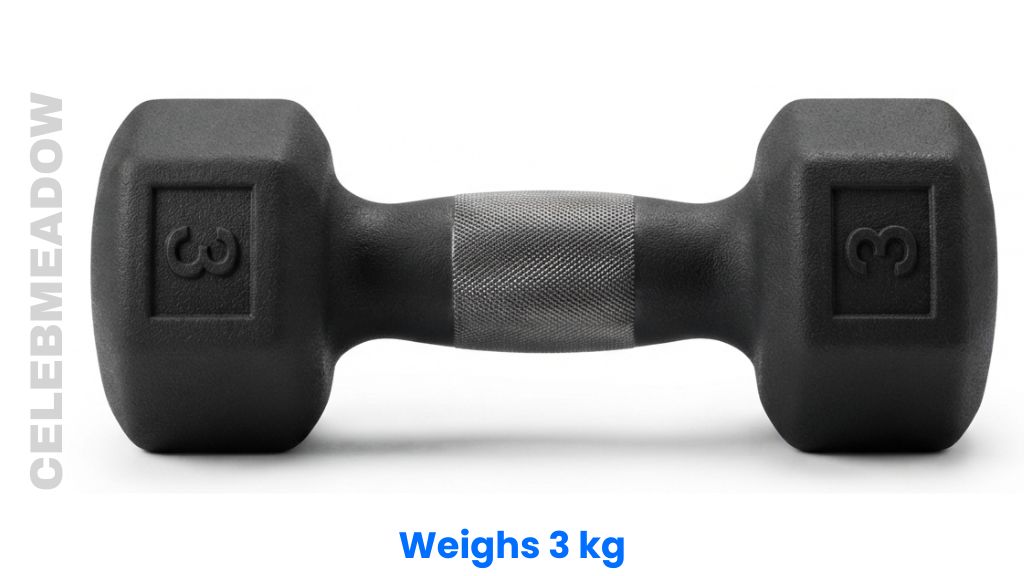 A 3 kg Weigh Gym Dumbbell