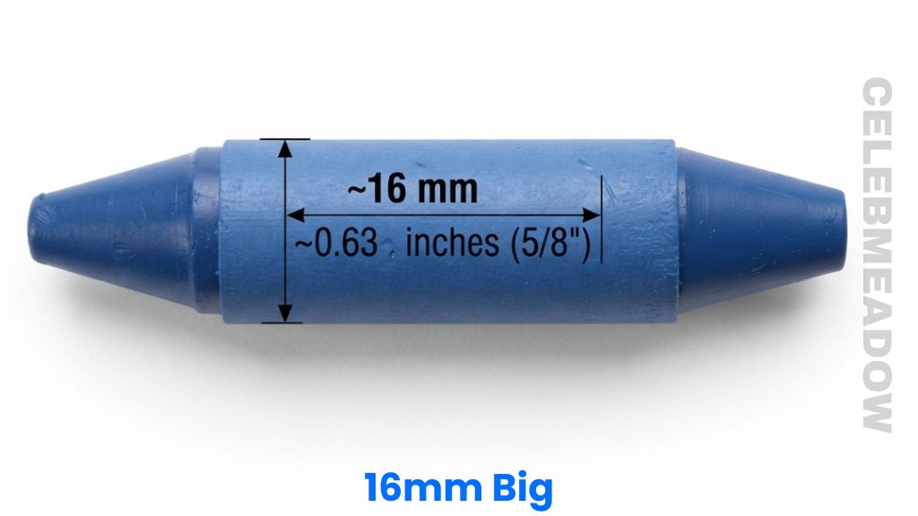 A Jumbo Crayon That Is 16mm Long