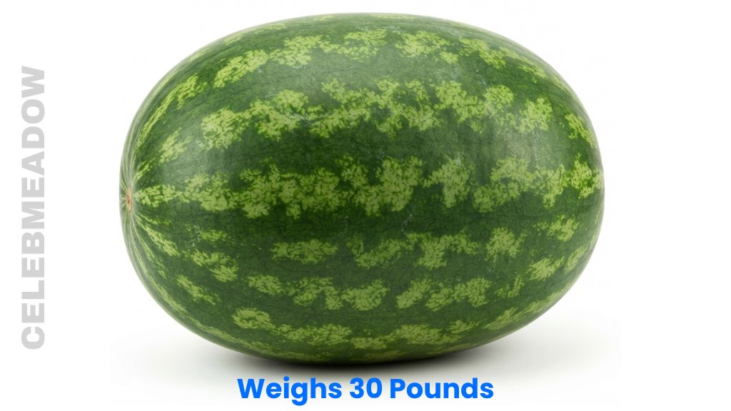 A Large Watermelon Weigh 30 Pounds