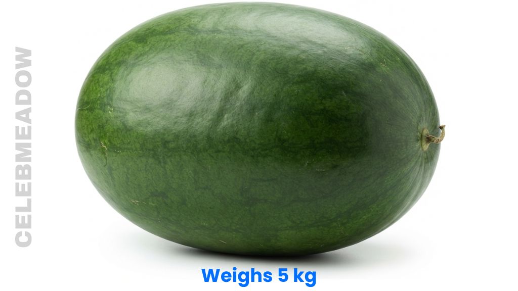 A Medium-to-Large Watermelon Weigh 5 kg